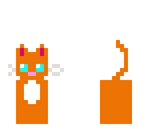 kitty cat