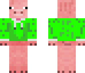 pig in sweater