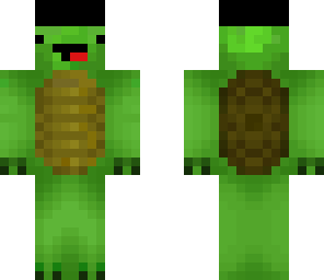 turtle with a hat