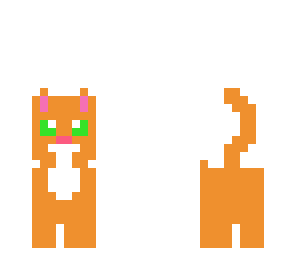 mango cat