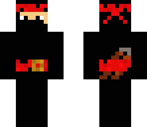 the ninja