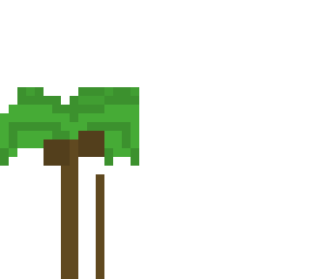palm tree