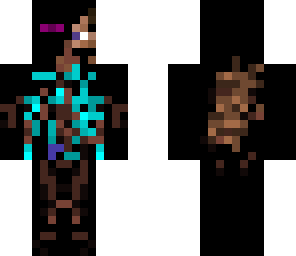 ender steve