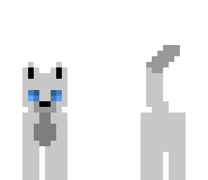 grey kitty
