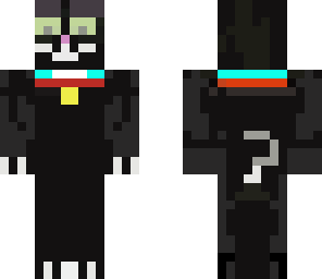 cat with collar