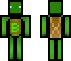turtle