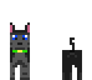 dog black