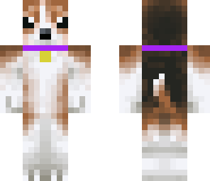little dog