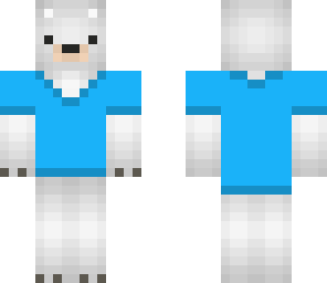 bear with shirt