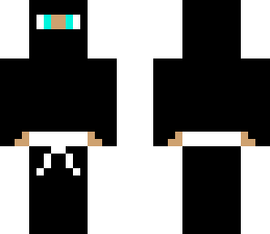 ninja 2