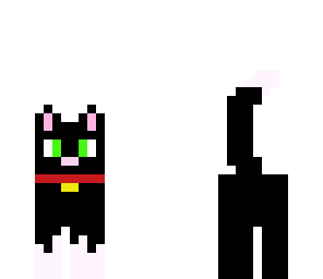 kitty cat