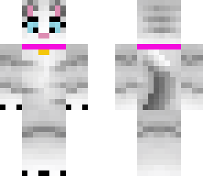 cat with collar