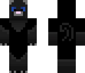black cat