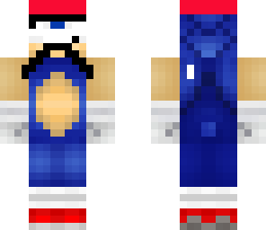 anan sanic v2