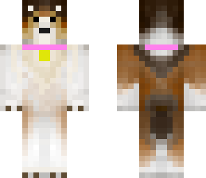 rlly cute collie