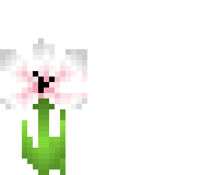 cute flower
