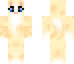 sandy cat