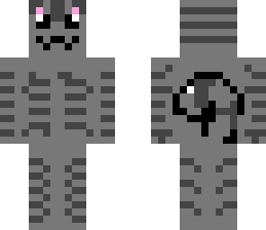 pusheen the cat update