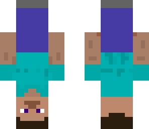 upsidedown steve