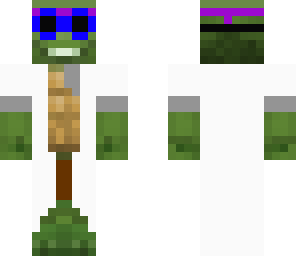 turtle the sceintist