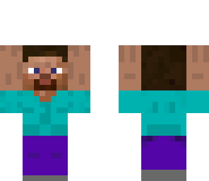 mini steve