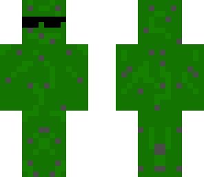 swagger cactus