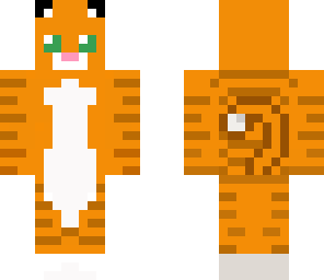 kitten