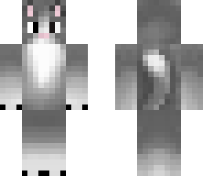 kitty cat