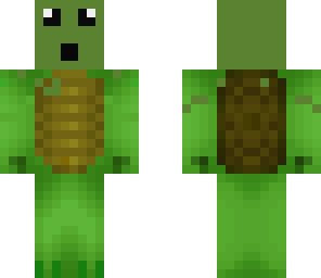 cute little turtle