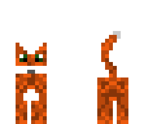 ginger the cat