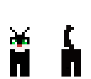 black cat