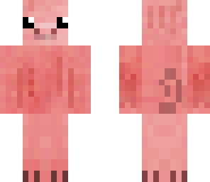 pig