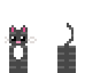 gray tabby