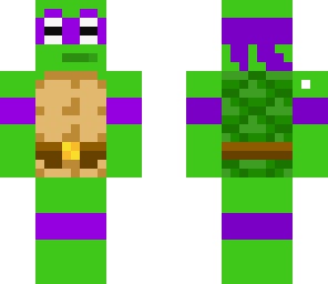 awesome ninja turtle