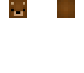 pixelbaer head