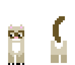 grumpy cat