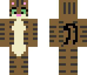 the tabby cat