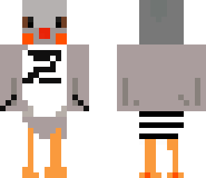 zebra finch