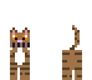 ticci cat