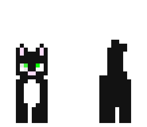 my cat