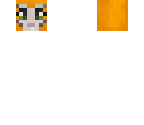 stampy's head