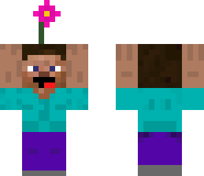 steve's flower