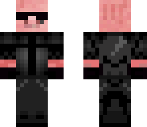 swat pig