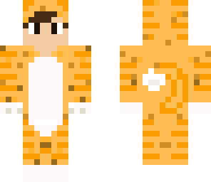 tabby cat teen boy