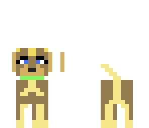 cute dog