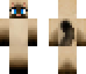 warrior cat skin re-upload
