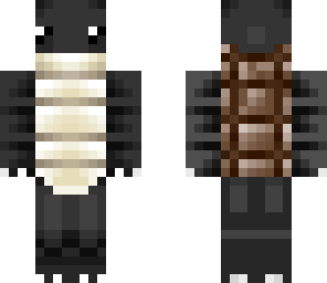 coal turtle