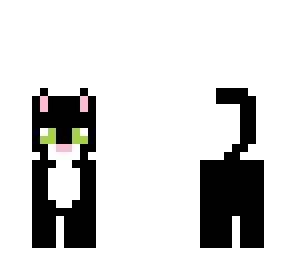unlucky cat