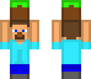 blocky steve holding a grass block