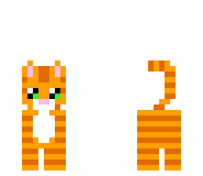ginger cat